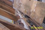 schimmelpilzbefallene-holzweichfaserplatten.jpg