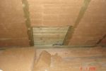 dsc00477.jpg