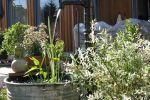 brunnen-im-garten.jpg